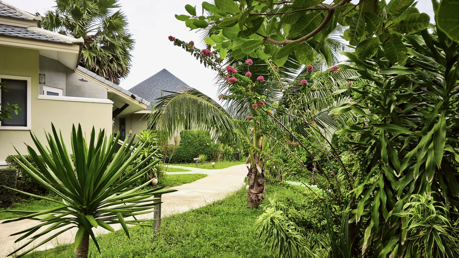 The resort garden by the sea